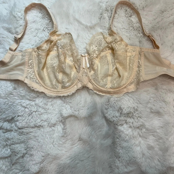 Panache Andorra 5675 Side Support Bra, US Size 30H Pearl Underwire Lace - Picture 5 of 7